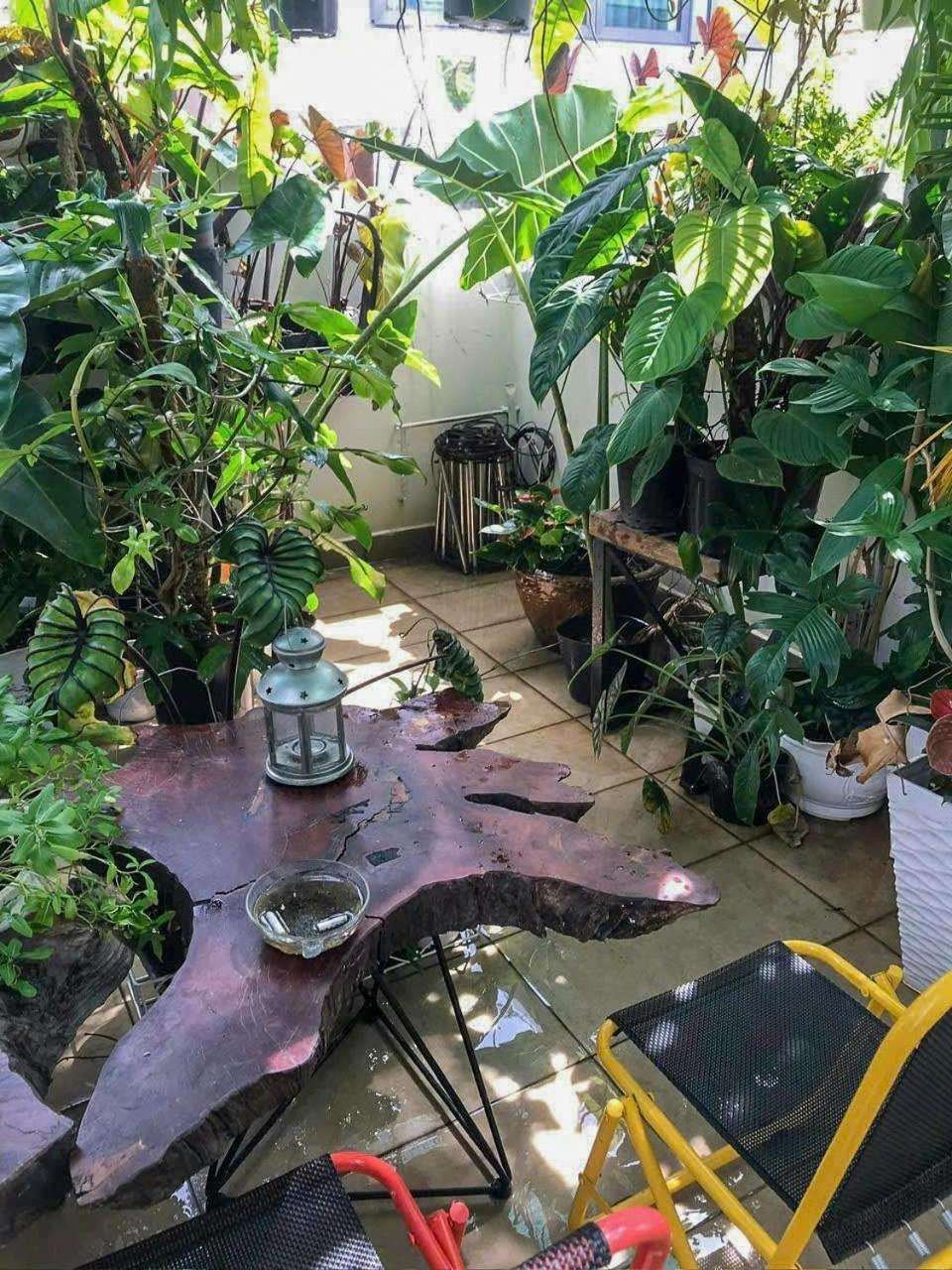 Albergue Amango Dorm Ciudad Ho Chi Minh  Exterior foto